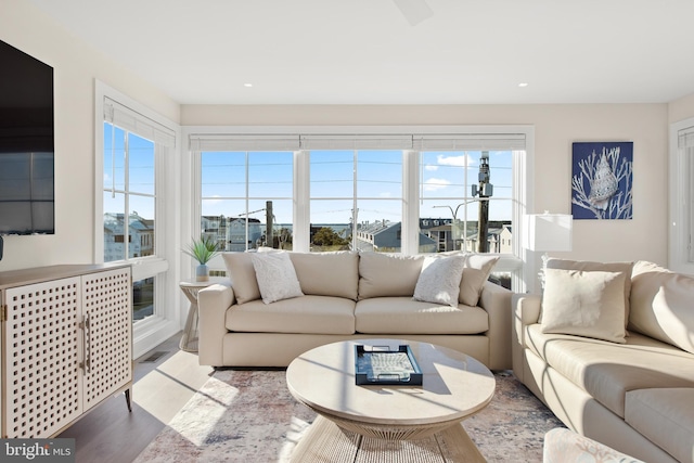 living room with hardwood / wood-style floors