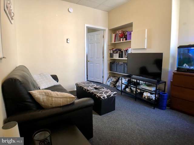 living room featuring carpet