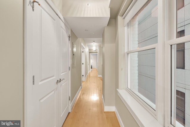 hallway featuring light wood-type flooring