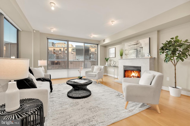 living room with wood-type flooring