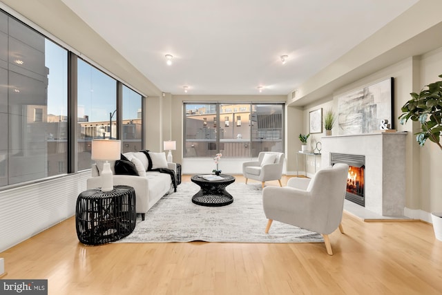 living room featuring light hardwood / wood-style flooring and a healthy amount of sunlight