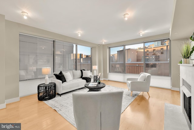 living room with light hardwood / wood-style floors