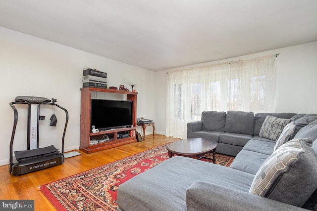 living room with wood-type flooring