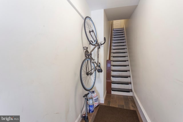 stairway with wood-type flooring