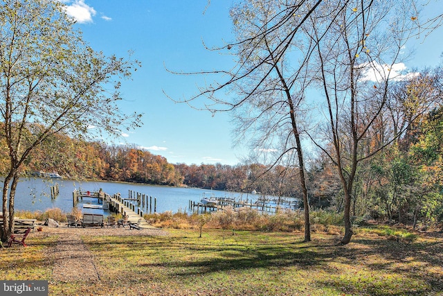 dock area featuring a water view