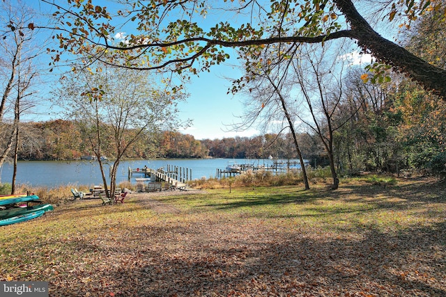 view of yard with a water view and a dock