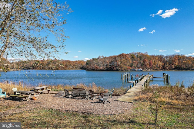 dock area with a water view