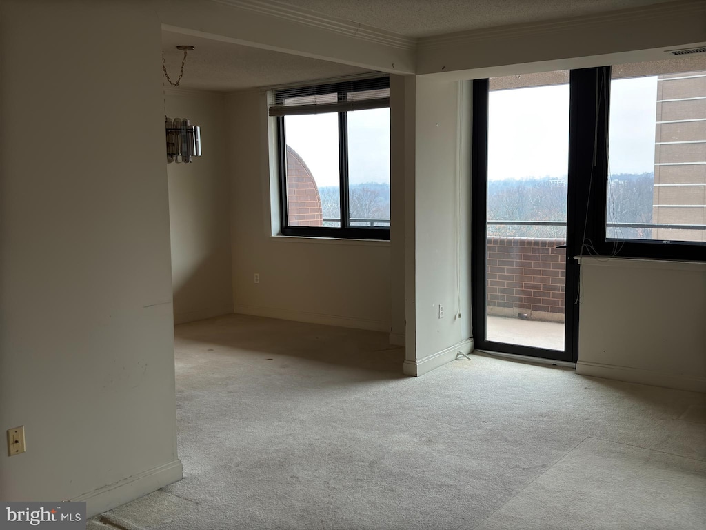 carpeted empty room with ornamental molding