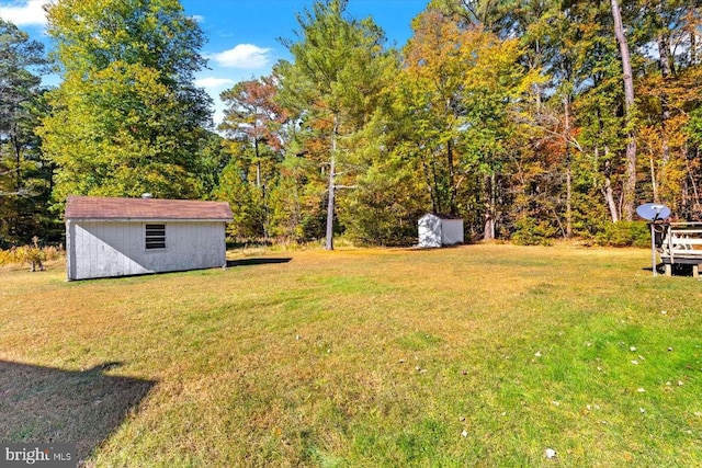 view of yard with a storage unit