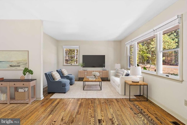 living room featuring light hardwood / wood-style flooring