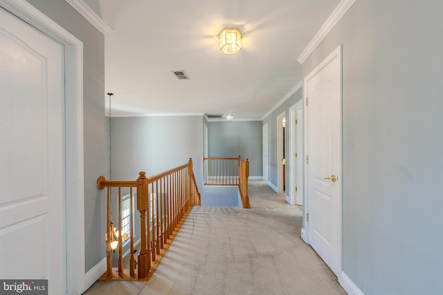 corridor featuring light carpet and crown molding