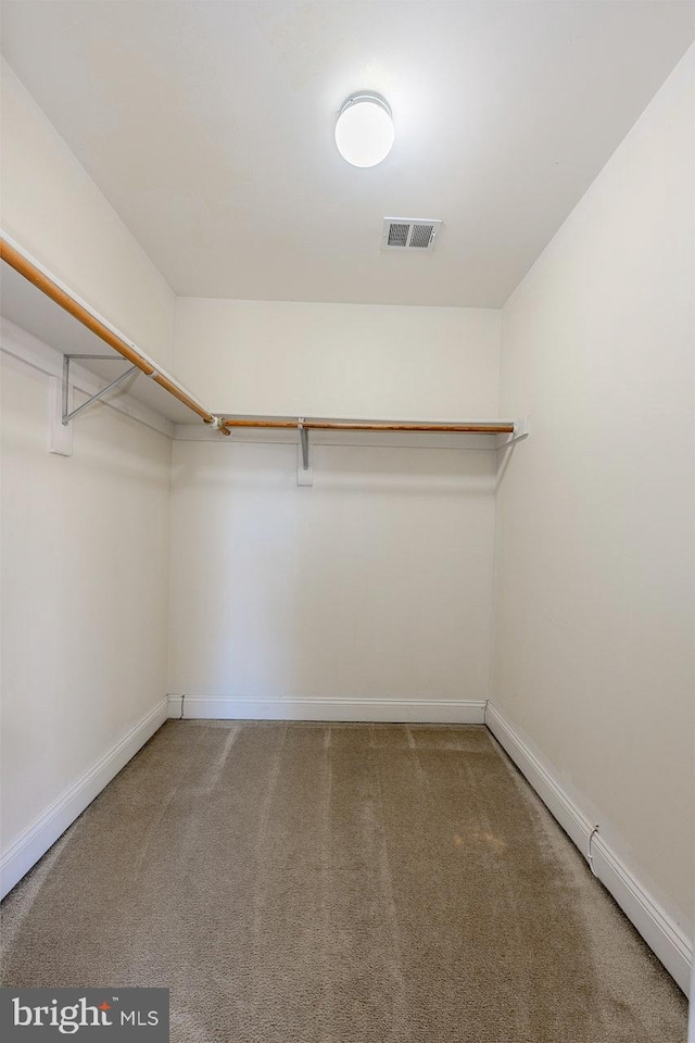 spacious closet featuring carpet