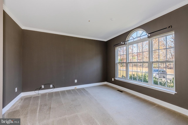 unfurnished room featuring carpet and ornamental molding