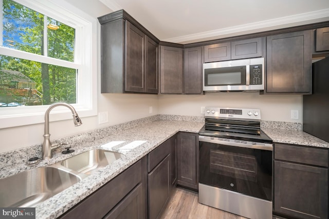 kitchen featuring ornamental molding, stainless steel appliances, dark brown cabinets, sink, and light hardwood / wood-style floors