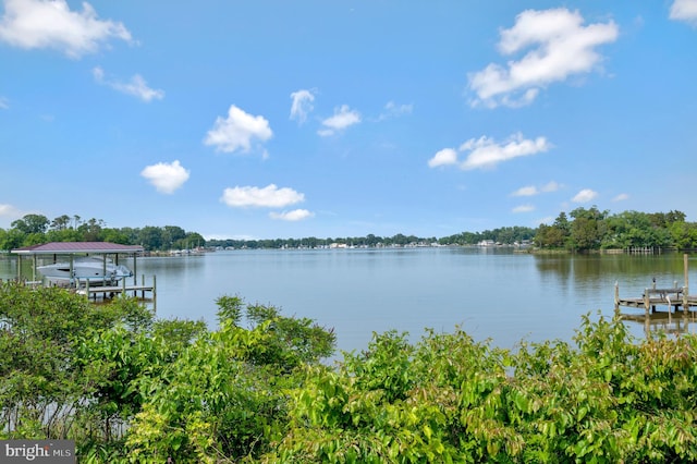 view of water feature with a boat dock