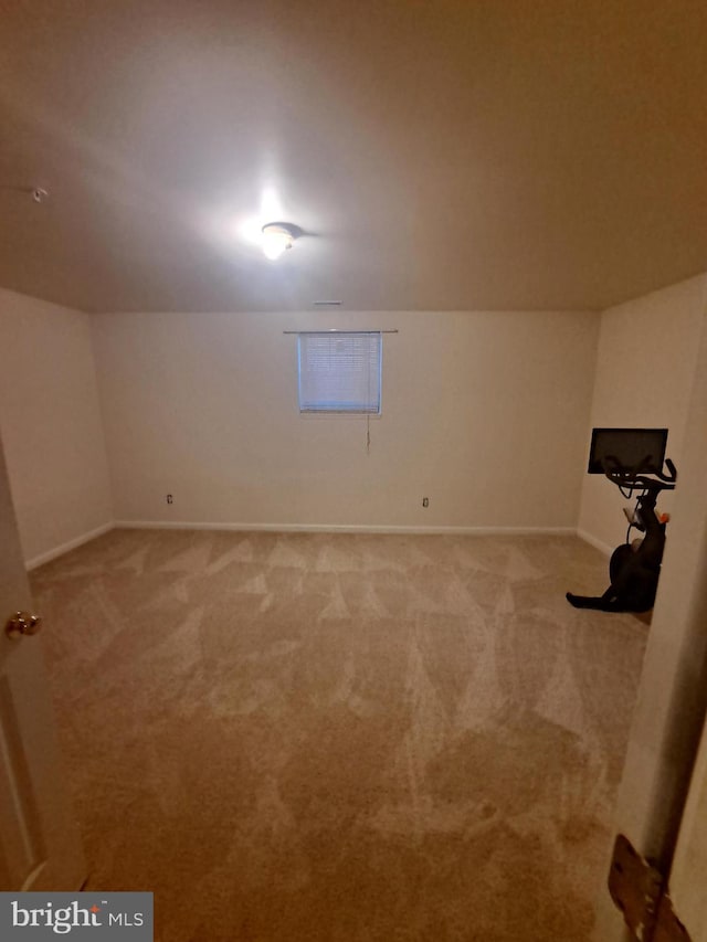 additional living space with light carpet