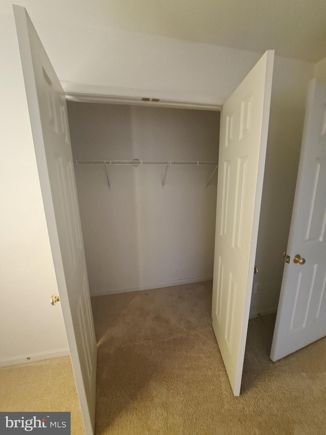 view of closet