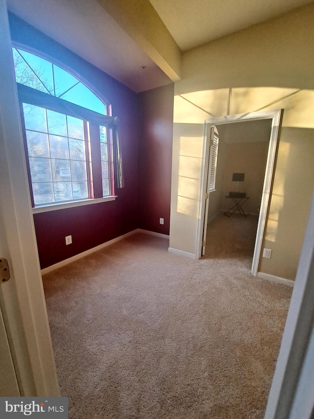 interior space featuring carpet flooring