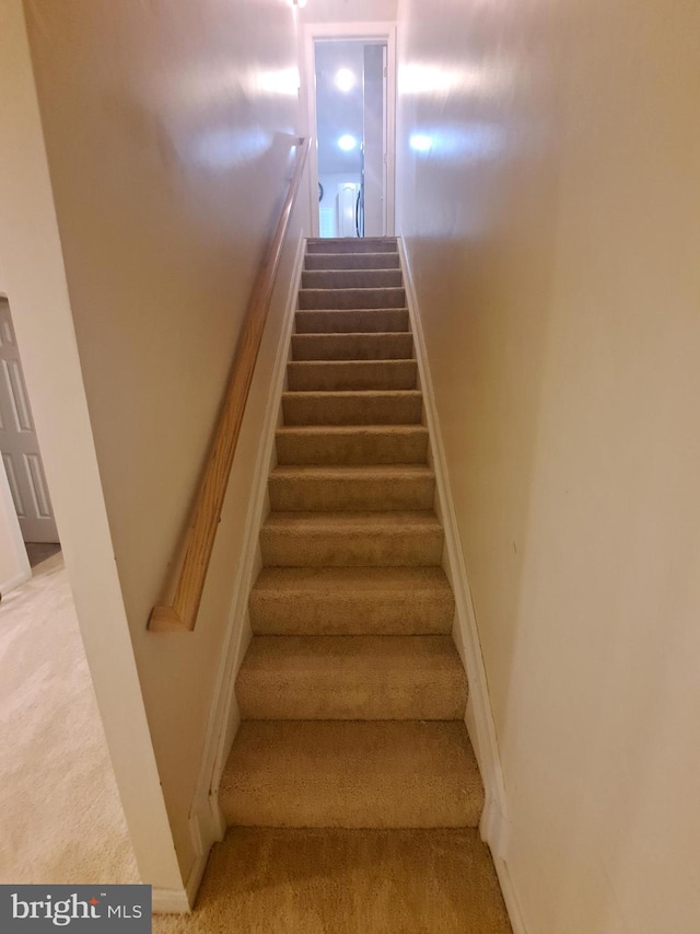 staircase with carpet floors