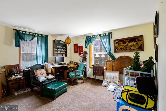 living area featuring carpet flooring and a wealth of natural light