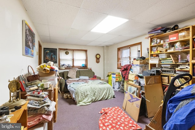 bedroom with a drop ceiling and carpet floors