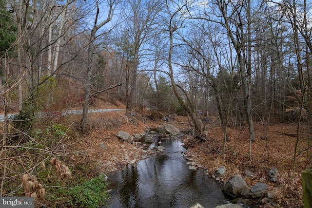 view of local wilderness