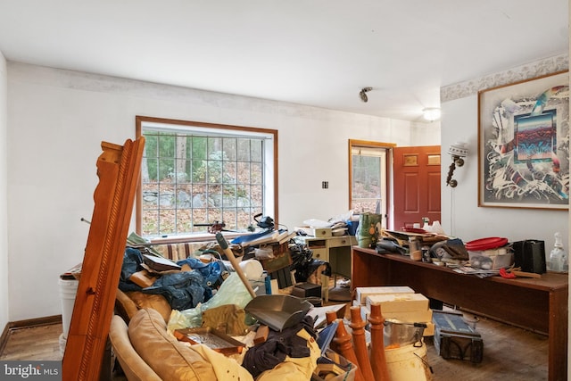 miscellaneous room with wood-type flooring