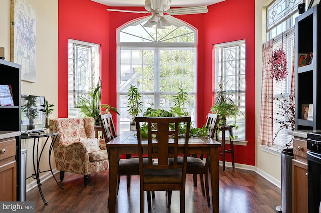 dining area featuring dark hardwood / wood-style flooring and ceiling fan