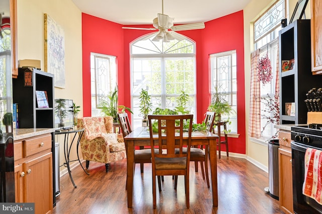 dining room with ceiling fan and dark hardwood / wood-style flooring