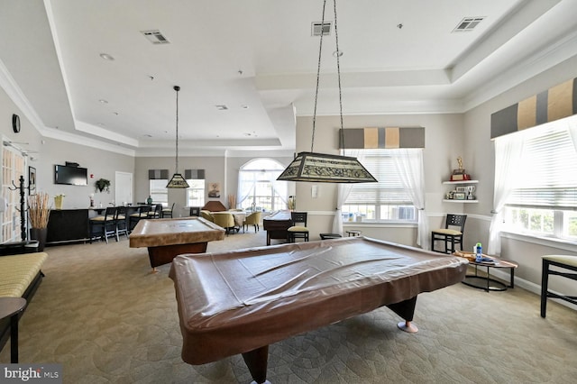40 Vender Ln, Mays Landing, NJ 08330 - playroom with a tray ceiling, billiards, carpet floors, and ornamental molding