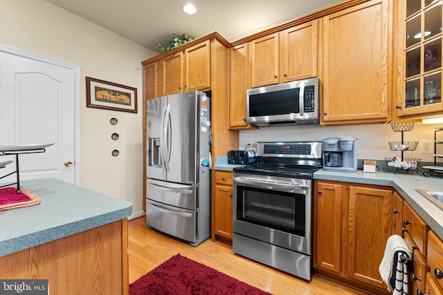 kitchen with stainless steel appliances and light hardwood / wood-style floors