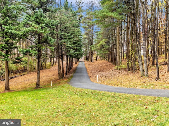 view of road