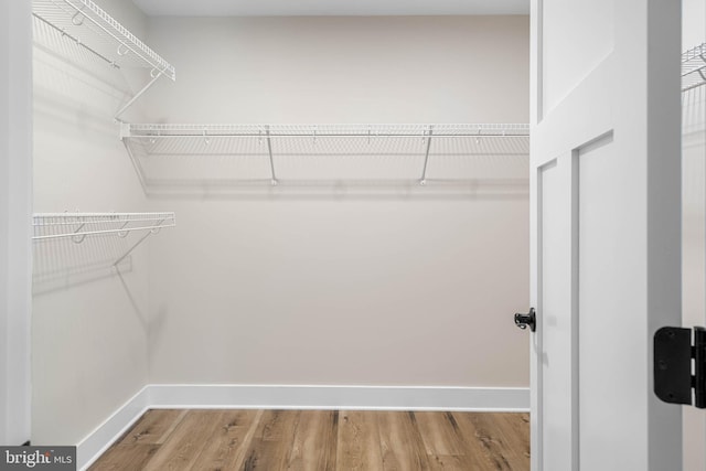 walk in closet featuring hardwood / wood-style floors