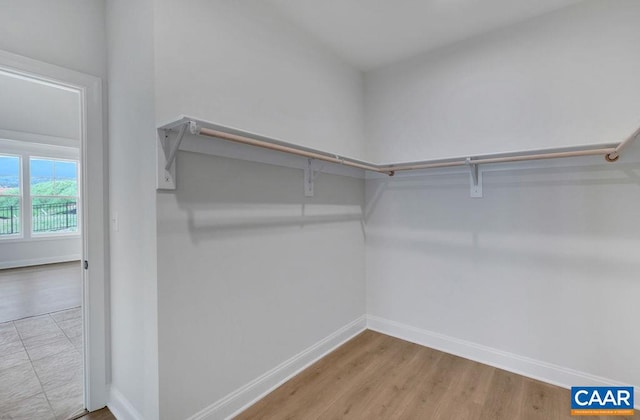 walk in closet featuring light hardwood / wood-style floors