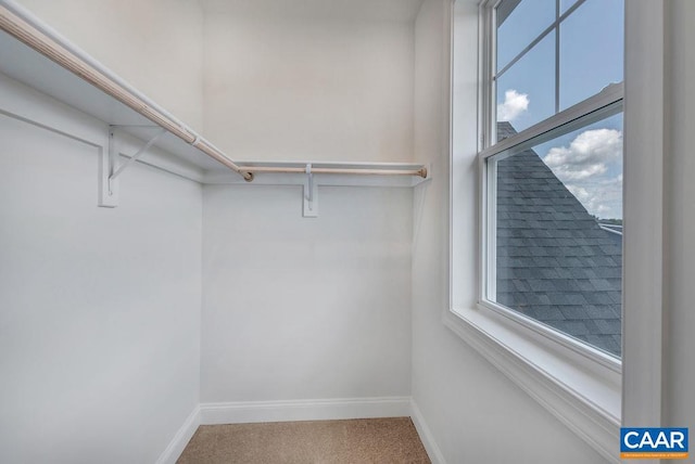 walk in closet with carpet flooring