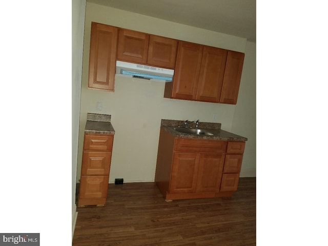 kitchen featuring dark hardwood / wood-style floors and sink