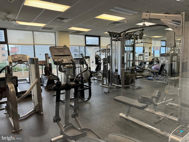 workout area featuring ceiling fan, a drop ceiling, and a healthy amount of sunlight