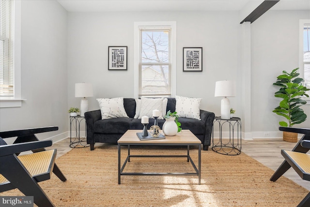 living room featuring light wood-type flooring