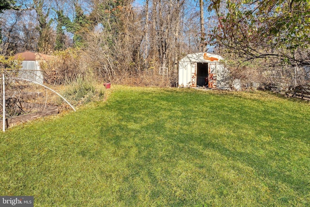 view of yard with a shed