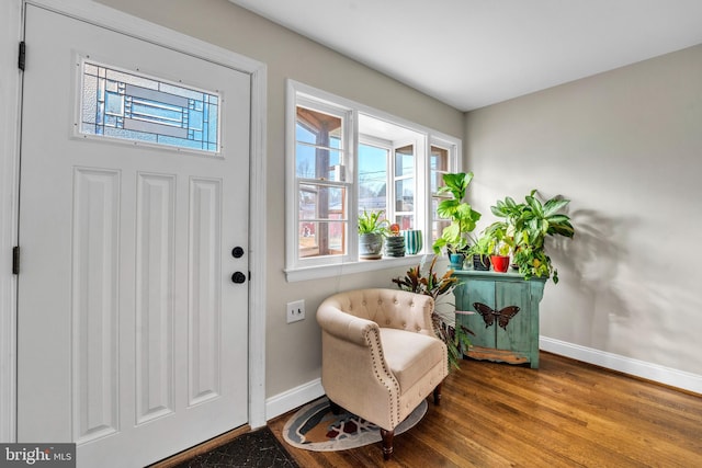 foyer entrance featuring hardwood / wood-style flooring