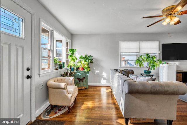 living room featuring a wealth of natural light, ceiling fan, and dark wood-type flooring