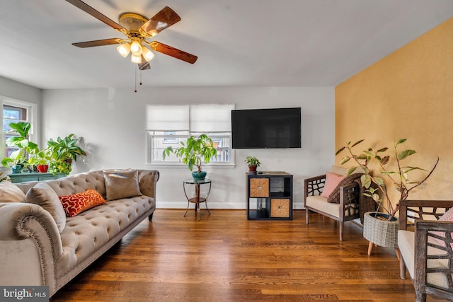 living room featuring ceiling fan and dark hardwood / wood-style flooring