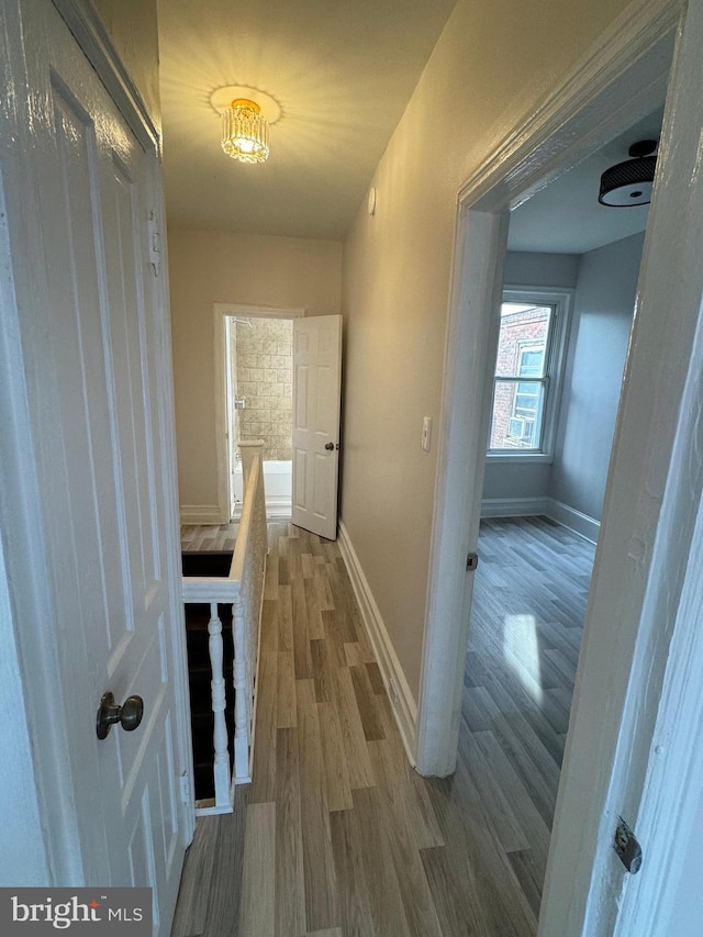 hall featuring hardwood / wood-style floors