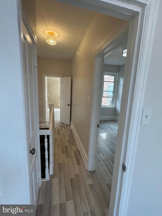 corridor with hardwood / wood-style floors