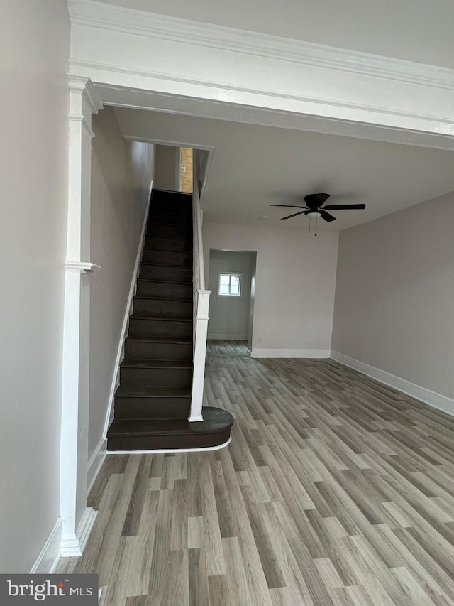 staircase featuring wood-type flooring and ceiling fan