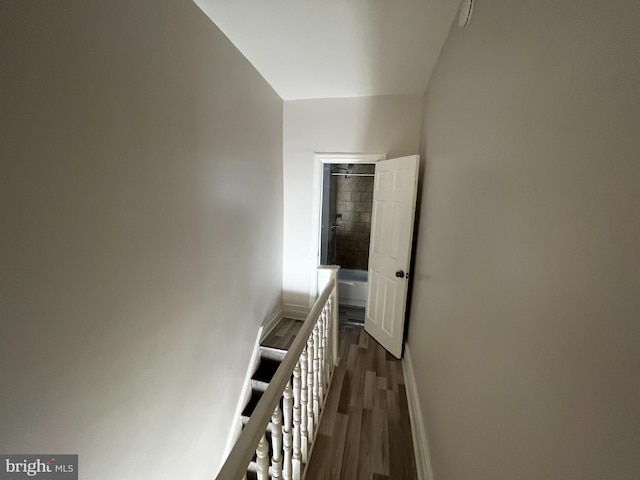 hall with dark hardwood / wood-style flooring