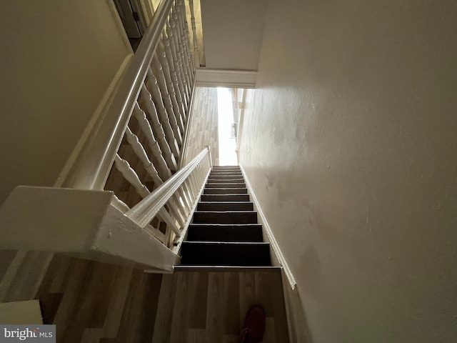 stairs featuring hardwood / wood-style floors