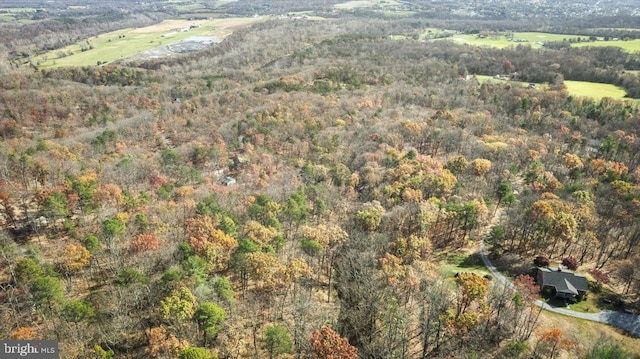 bird's eye view