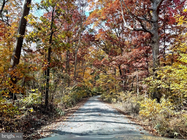 view of road