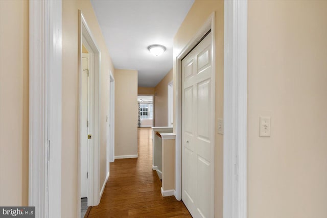 hallway featuring dark wood-type flooring